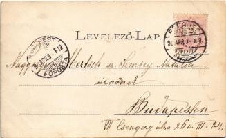 1898 Eperjes, Presov; Szentháromság szobor, utca, folklór. Szecessziós-virágos keret / Holy Trinity ...