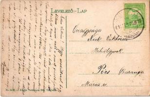 1911 Ótátrafüred, Tátrafüred, Altschmecks, Stary Smokovec (Magas-Tátra, Vysoké Tatry); Gyógyszertár ...