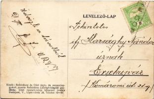 Göd, Huzella nyaraló, villa, Duna látképe (EK)