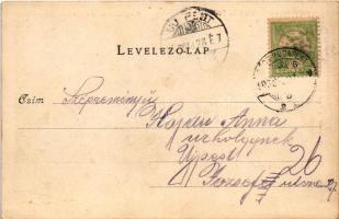 1903 Göd, Felső nyaraló csoport (fl)