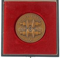 Kovács Dezső (1921-) 1970. "Csepel Vas- és Fémművek - 50 éves a magyarországi csőgyártás / Csepeli Csőgyár 1920-1970" kétoldalas bronz emlékérem, eredeti tokban (70mm) T:AU,XF