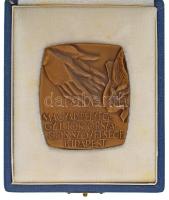 1983. "Magyar Bélyeggyűjtők Országos Szövetsége Budapest / CM '83" egyoldalas bronz plakett, hátoldalán gravírozással, tokban (56x65mm) T:AU
