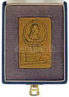 Német Birodalom 1914. "Sportverseny Neustadtban" kétoldalas bronz díjplakett, kopott díszt...