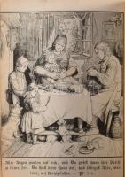 Der Hausfreund. Eine Sammlung von Erzählungen und Geschichten mit vielen Holzschnitten. In drei Holz...