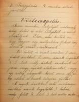1895 Heizer István: Gyümölcs és konyha-kertészet. Kézzel írt (szép írással) gyümölcs- és konyhakerté...