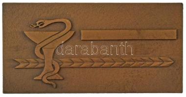 1977. "MÁV Kórház és Központi Rendelőintézet 1927-1977, Budapest" bronz emlékplakett (40x80mm) T:AU