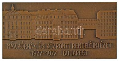 1977. "MÁV Kórház és Központi Rendelőintézet 1927-1977, Budapest" bronz emlékplakett (40x8...