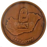 Pataky Béla (1932-) 1987. "50 éves a magyar olajbányászat" kétoldalas bronz emlékérem (70m...