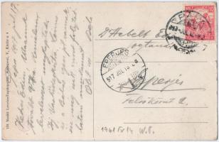 1917 Pápa, Esterházy kastély. Vasúti levelezőlapárusítás 131. (kis szakadás / small tear)