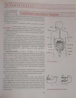 Fazekas-Szerényi: Biológia I-II. Bp., 2002, Scolar. Kiadói kartonált kötés, jó állapotban