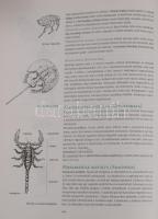 Fazekas-Szerényi: Biológia I-II. Bp., 2002, Scolar. Kiadói kartonált kötés, jó állapotban