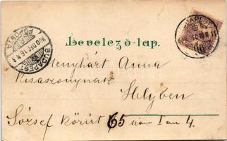 1900 Ibolyácska. Szecessziós-virágos litho üdvözlőlap / Art Nouveau, floral litho greeting card (EK)