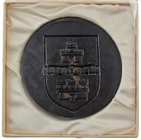 1988. "A csepeli PV (Polgári Védelem) gyakorlat emlékére" kétoldalas bronzpatinázott emlék...