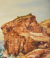 Ioan Grosos (1952-), romániai festő: Vitorlások. Olaj, vászon. Jelezve balra lent. Dekoratív fakeret...