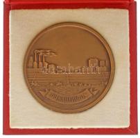 DN "Dunaújváros / 1950" kétoldalas bronz emlékérem eredeti tokban (70mm) T:AU, enyhe karco...