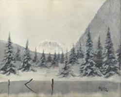 Mille jelzéssel: Téli táj. Olaj, karton. Dekoratív, üvegezett, kissé sérült fakeretben. 39x48 cm