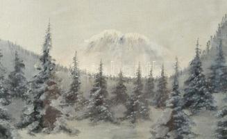 Mille jelzéssel: Téli táj. Olaj, karton. Dekoratív, üvegezett, kissé sérült fakeretben. 39x48 cm