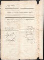 1904 Miskolc, felső kereskedelmi iskolai érettségi bizonyítvány Cholnoky Jenő (1870-1950) földrajztu...