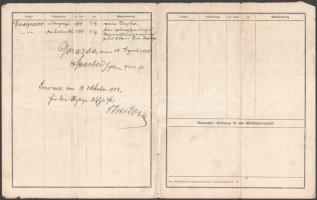 1908 K. u. k. Ersatzbataillonskader No. 25, Unterabteilungs-Grundbuchblatt, német nyelvű katonai ira...