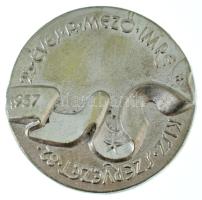 1982. "25 éves a Mező Imre KISZ Szervezet 1957-1982" egyoldalas, ezüstözött, öntött fém emlékérem eredeti tokban (70mm) T:AU,XF