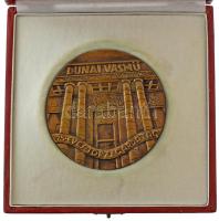 Palotás József (1947-) DN "Dunai Vasmű - 25 éves Törzsgárdatag" egyoldalas, öntött bronz plakett, hátoldalán "1775" sorszámmal, enyhén sérült dísztokban (88mm) T:AU, patina