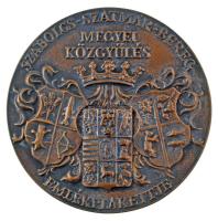 Asszonyi Tamás (1942-) DN "Szabolcs-Szatmár-Bereg Megyei Közgyűlés emlékplakettje" kétoldalas, nagyalakú bronz plakett eredet fa dísztokban (120mm) T:AU