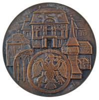 Asszonyi Tamás (1942-) DN "Szabolcs-Szatmár-Bereg Megyei Közgyűlés emlékplakettje" kétolda...