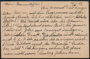 SHS 1918 Futott 10f díjjegyes levelezőlap Bécsbe küldve, Bodor vizsgálójellel