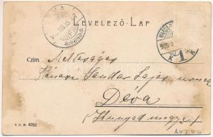 1905 Marosvásárhely, Targu Mures; Fő tér, piac, Petrás Géza, Szalmásy Gyula, Hary Géza, Schwartz Ján...