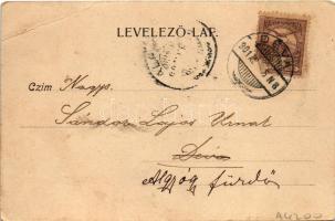 1901 Déva, vár, Holtzer Károly, Szűcs F. Lajos, Hirsch Testvérek üzlete. Hirsch Adolf kiadása / cast...