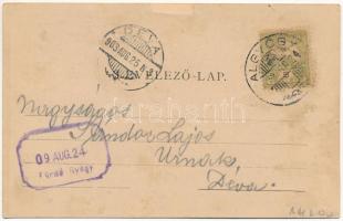 1903 Feredőgyógy, Fürdőgyógy, Algyógyfürdő, Geoagiu-Bai, Feredeu; Rákóczi és Apaffy sor, vízesés, pa...