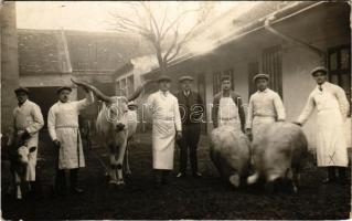 1928 Székesfehérvár, gazdasági udvar malacokkal és szürkemarhával. photo
