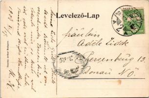 1907 Budapest I. Krisztinaváros. Taussig Arthur 5825. (gyűrődés / crease)