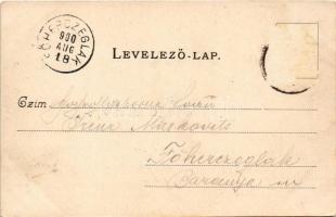 1900 Budapest XXII. Nagytétény, Nagy-Tétény; Diósárok (Diós árok) nyaralótelep, látkép, Fő utca, Tót...