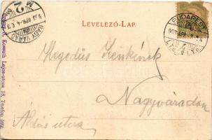 1903 Budapest V. Kossuth Lajos utca, bútorraktár, Franke Pál üzlete (lyuk / hole)