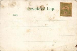 Budapest XIII. Vígszínház. Art Nouveau, litho (EB)