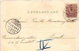 1897 Fenyőháza, Lubochna; Új szálloda, Ilka útról nézve, Csigaútról nézve, Középső rész, Alsó zsilip...