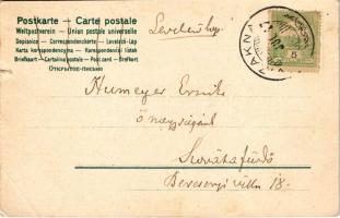 Vízakna, Salzburg, Ocna Sibiului; sós-gyógyfürdő. Takáts Jenő kiadása, szecessziós litho keret / spa...