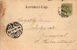 1904 Siófok, Vadrucales (vadréce, vadkacsa), vadász puskával és kutyával csónakban, nádas (apró szak...