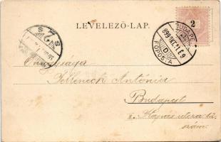 1899 Salgótarján, Acélgyár. Friedler Armin kiadása (EK)