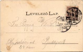 1901 Szolnok, Fodor D. Nemzeti Szálloda, kávéház és étterem, belső biliárdasztallal. Szigeti H. fény...