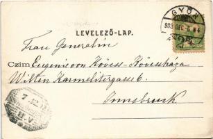 1903 Győr, Veöreös palota, Deák Ferenc utca. Nitsmann József kiadása (EK)