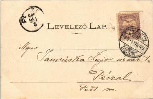 1900 Győr, Belvárosi látkép. Berecz Viktor kiadása (EK)