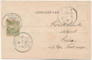 1903 Pécel, Szilágyi park. Határ János kiadása (ázott / wet damage)