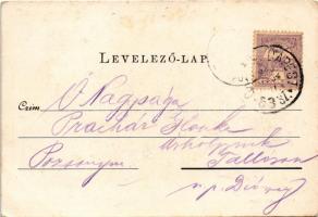 1900 Pápa, piac, zsinagóga. Kis Tivadar kiadása, Art Nouveau, floral (EK)