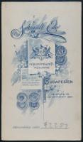 cca 1910 Kislány labdával, kabinetfotó Schmidt Ede budapesti (VIII., Baross u. 61.) műterméből, 16,5...