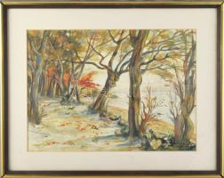 Olvashatatlan jelzéssel (Anna Karády?): Vízparti táj. Akvarell, papír. Dekoratív, üvegezett fakeretben. 26x36 cm