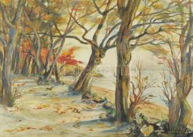 Olvashatatlan jelzéssel (Anna Karády?): Vízparti táj. Akvarell, papír. Dekoratív, üvegezett fakeretb...