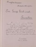 1894-1895 "Magyar levelezés Hatfaludy Ella 1894-95." Benne rendkívül szép írással, különfé...