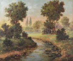 Veress Zoltán (1868-1935): Vízparti táj. Olaj, vászon, jelzett, dekoratív fakeretben, 50×60 cm